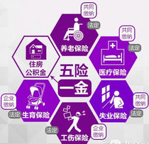 信息咨詢服務的價格、批發與廠家指南