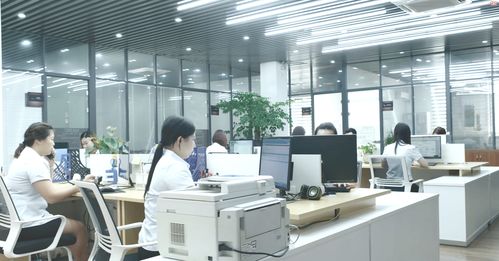 凍干餅干方便食品一站式代加工供求信息平臺與咨詢服務(wù)